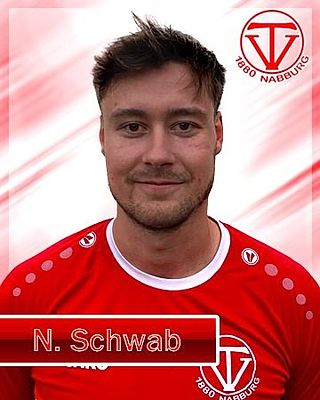 Niklas Schwab