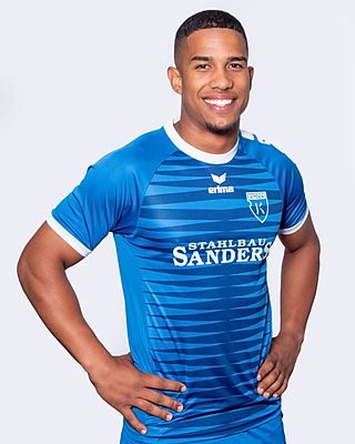 Darlin van der Werff