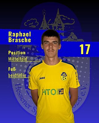 Raphael Luca Brasche