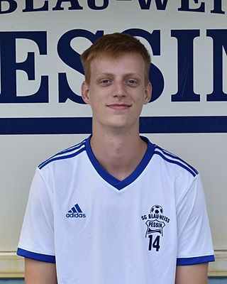 Hugo Alexander Zerbe