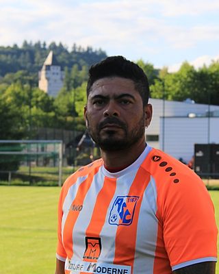 Luiz Filipe Pereira Alves Correia