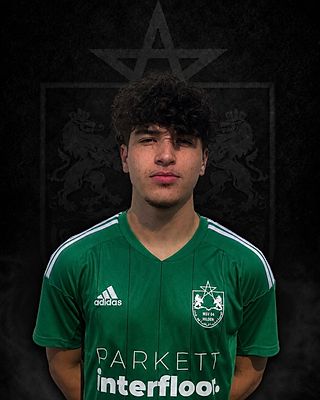 Mohamad Sbaa El Hammadi