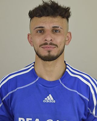 Alaa Ali Ajan Al Hadid