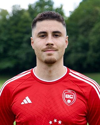 Domenic Hörmann