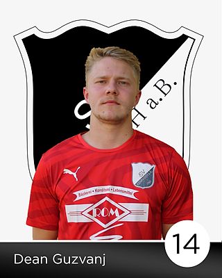 Dean Guzvanj
