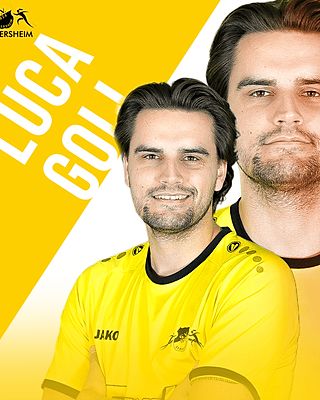 Luca Goll