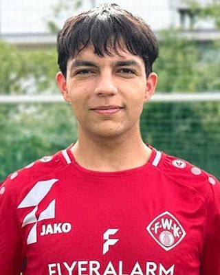 Mohamad Mansour Neshani