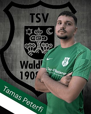 Tamás Péterfi