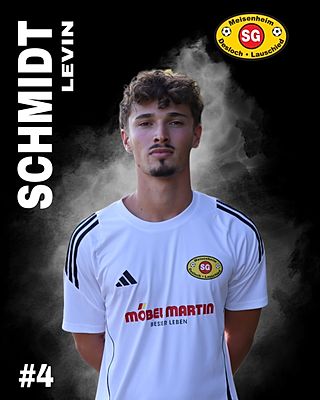Levin Schmidt