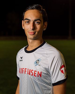 Alessandro Gusmini