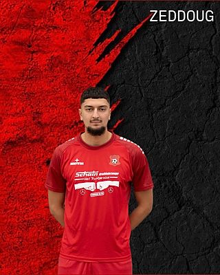 Souheil Zeddoug