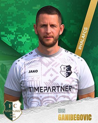 Edin Ganibegovic