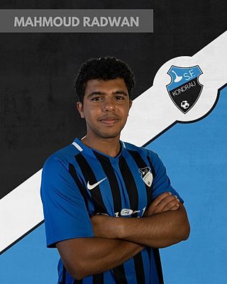 Mahmoud Radwan
