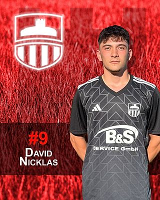 David Nicklas