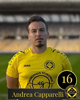 Andrea Capparelli