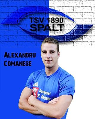 Alexandru Comanese