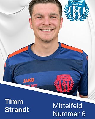 Timm Henning Strandt
