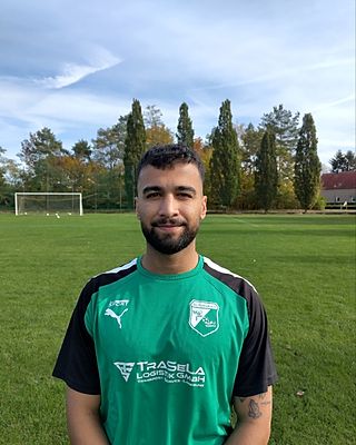 Mohammad Hossein Parvizi Babadi