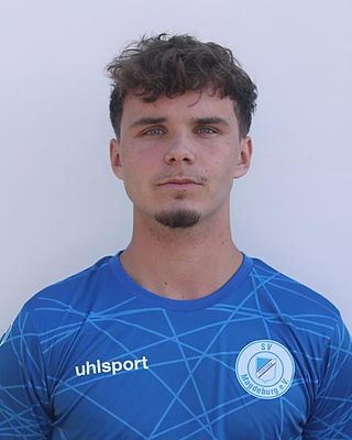 Gino Klause