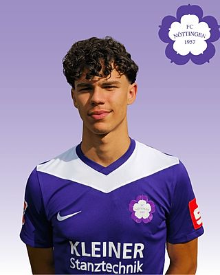 Matej Mijic