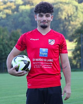 Stefano Re Callegaris