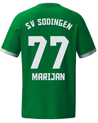 David Marijan