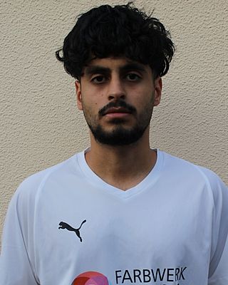 Mohammad Hmayoon Ziayee