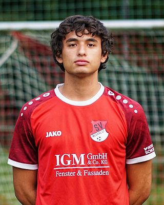 Joao Manuel Goncalves Nunes