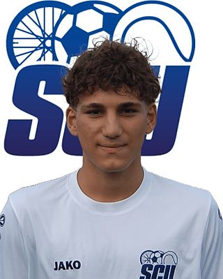 Alexandros Zarafidis