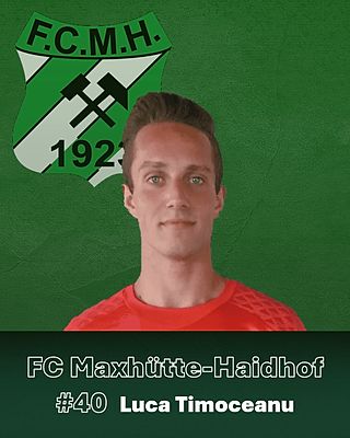 Luca Timoceanu