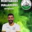 Nektarios Malamidis