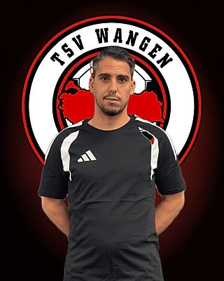 Cristiano Manuel Costa Correia