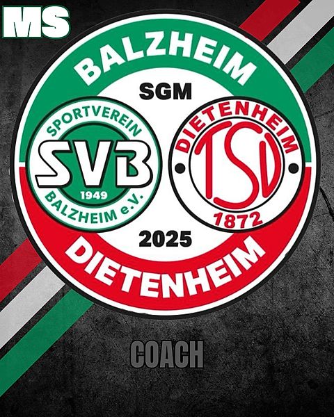 Foto: SV Balzheim