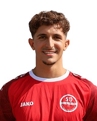 Ilias Nikos Kitsantas