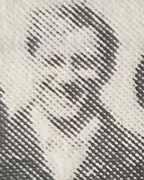 Foto: FC Preußen.de