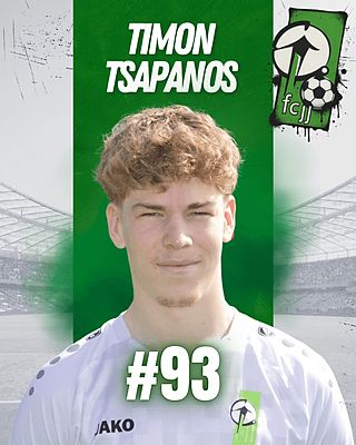 Timon Tsapanos