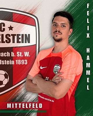 Felix Hammel