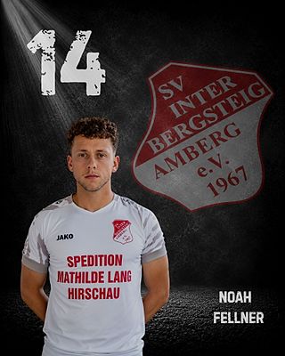 Noah Fellner