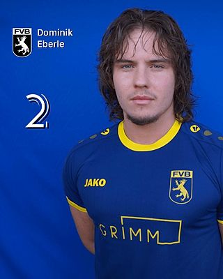 Dominik Edward Eberle