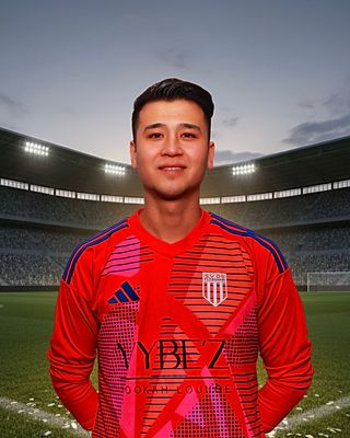 Hamed Mohammadi