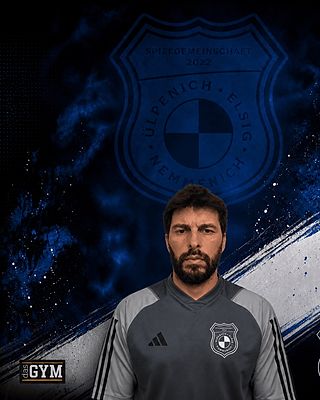 Nebojsa Velemir