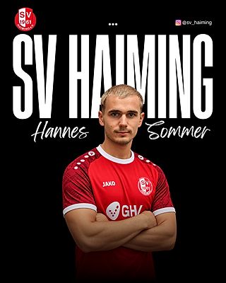 Hannes Sommer