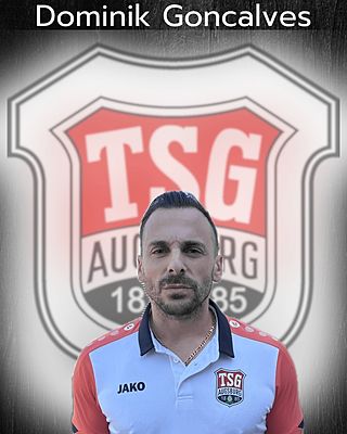 Dominik Joel Guerreiro Goncalves