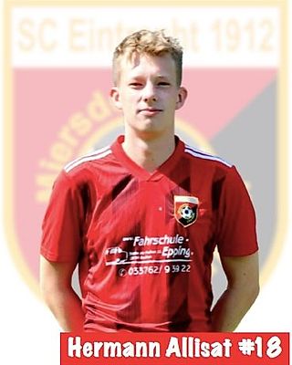Hermann Allisat