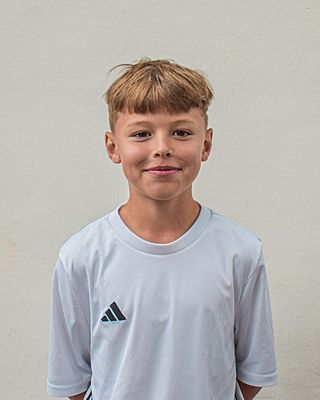 Aleks Michellini