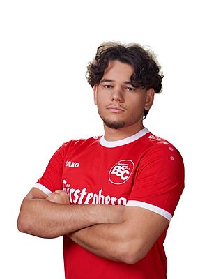 Yoel Zipse