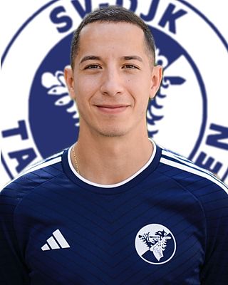 Amin Gheribi