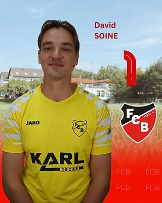 David Soine