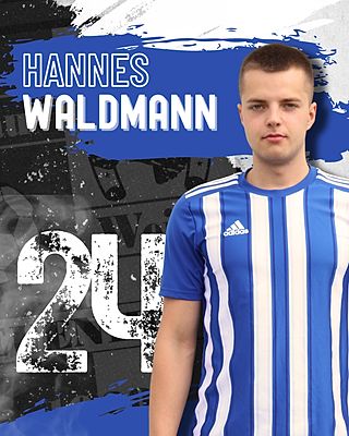 Hannes Waldmann