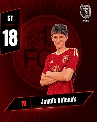 Jannik Dolenek
